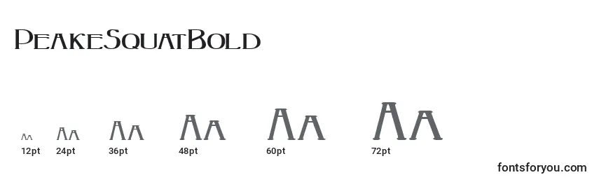 sizes of peakesquatbold font, peakesquatbold sizes