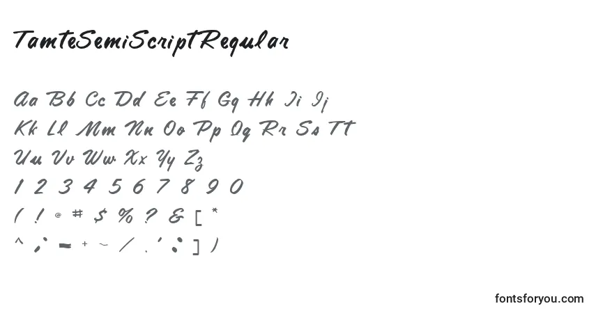 Schriftart TamteSemiScriptRegular – Alphabet, Zahlen, spezielle Symbole