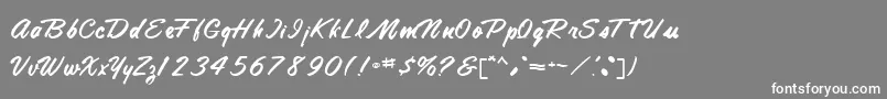 TamteSemiScriptRegular Font – White Fonts on Gray Background