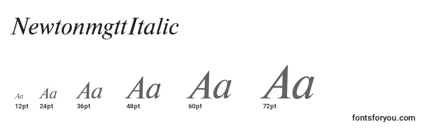 NewtonmgttItalic Font Sizes