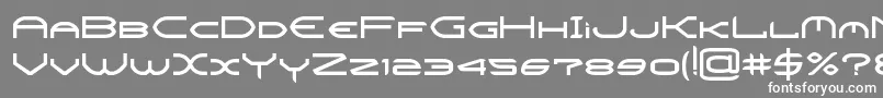 CrysisBold Font – White Fonts on Gray Background