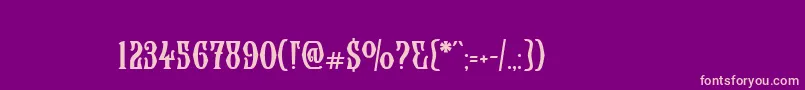 Wolverhamptonc Font – Pink Fonts on Purple Background