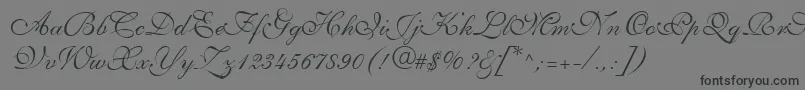 AllegrettoScriptTwo Font – Black Fonts on Gray Background