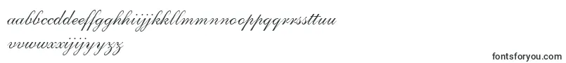 Шрифт AllegrettoScriptTwo – нидерландские шрифты