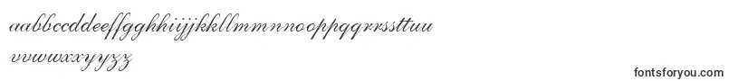 AllegrettoScriptTwo Font – Italian Fonts