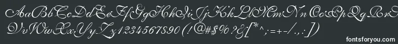 フォントAllegrettoScriptTwo – 白い文字