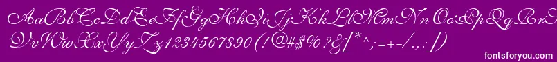 AllegrettoScriptTwo Font – White Fonts on Purple Background