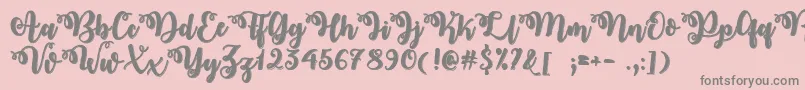 MidnightInOctoberTtf Font – Gray Fonts on Pink Background