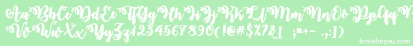 MidnightInOctoberTtf Font – White Fonts on Green Background