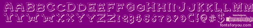 BonecrackerShadow Font – Pink Fonts on Purple Background