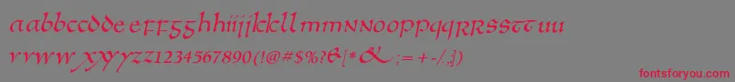フォントAnglosaxoblique – 赤い文字の灰色の背景