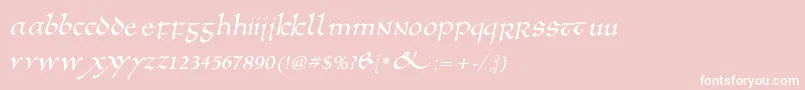 Anglosaxoblique Font – White Fonts on Pink Background