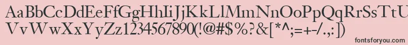 JansonsskRegular Font – Black Fonts on Pink Background