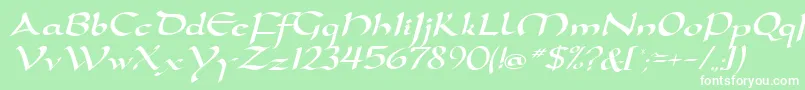 D790ScriptRegular Font – White Fonts on Green Background