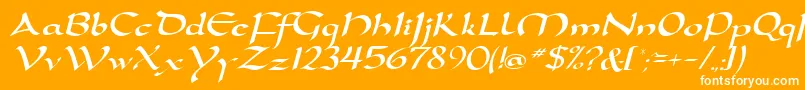 D790ScriptRegular-Schriftart – Weiße Schriften auf orangefarbenem Hintergrund