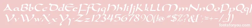 D790ScriptRegular Font – White Fonts on Pink Background