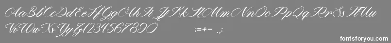 フォントMathildaInWonderland – 灰色の背景に白い文字
