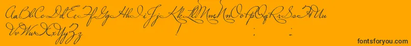PlasterOfParis Font – Black Fonts on Orange Background