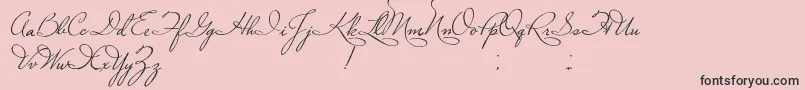PlasterOfParis Font – Black Fonts on Pink Background