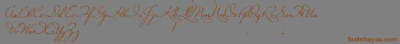 PlasterOfParis Font – Brown Fonts on Gray Background