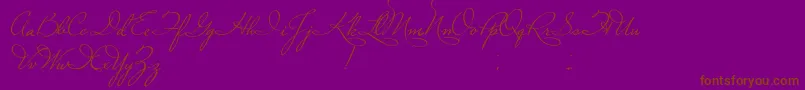 PlasterOfParis Font – Brown Fonts on Purple Background