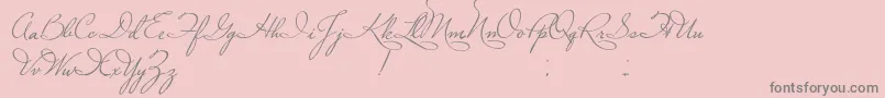 PlasterOfParis Font – Gray Fonts on Pink Background