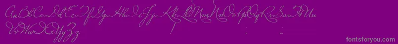 PlasterOfParis-Schriftart – Graue Schriften auf violettem Hintergrund