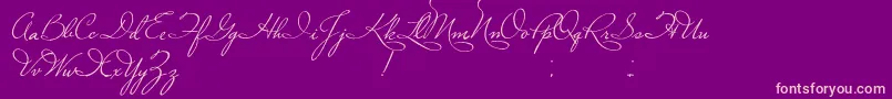 PlasterOfParis Font – Pink Fonts on Purple Background