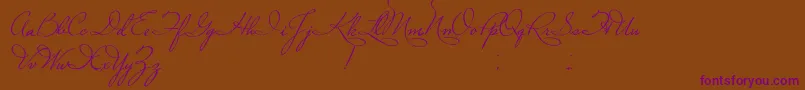 PlasterOfParis Font – Purple Fonts on Brown Background
