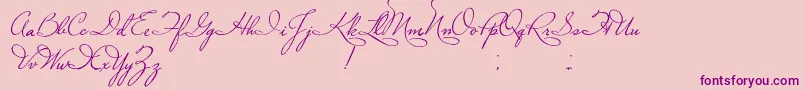 PlasterOfParis Font – Purple Fonts on Pink Background