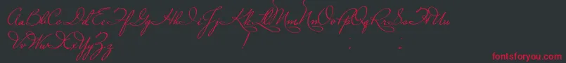 PlasterOfParis Font – Red Fonts on Black Background