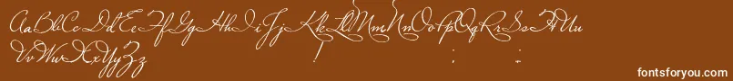 PlasterOfParis Font – White Fonts on Brown Background