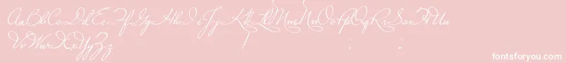 PlasterOfParis Font – White Fonts on Pink Background