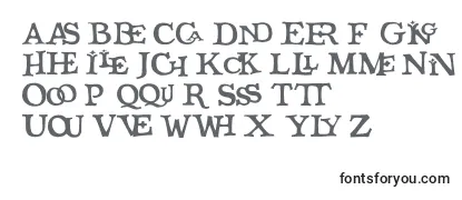 Qicktype Font