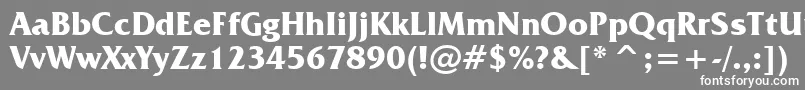 フォントFrizQuadrataBoldBt – 灰色の背景に白い文字