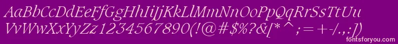 SudbltI Font – Pink Fonts on Purple Background