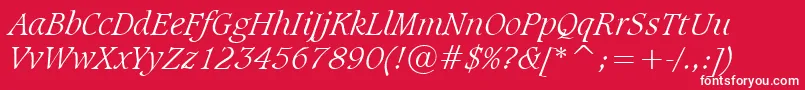 SudbltI Font – White Fonts on Red Background