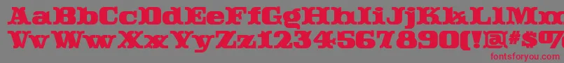 Rutin Font – Red Fonts on Gray Background