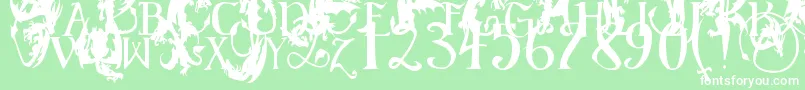 EgDragonCaps Font – White Fonts on Green Background