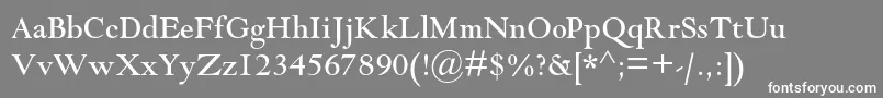 Шрифт Goudymodernmtstd – белые шрифты на сером фоне