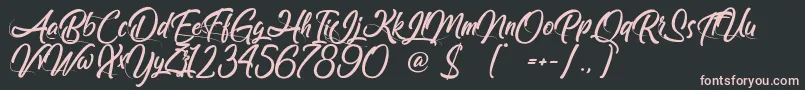 FollowMe Font – Pink Fonts on Black Background