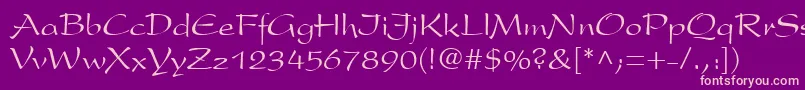 President.Kz Font – Pink Fonts on Purple Background