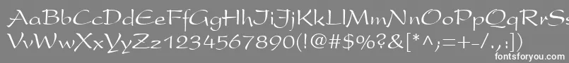 フォントPresident.Kz – 灰色の背景に白い文字