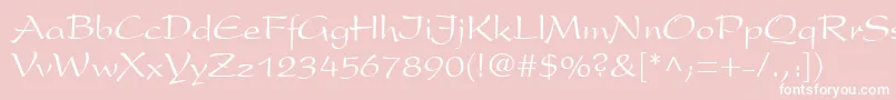 フォントPresident.Kz – ピンクの背景に白い文字