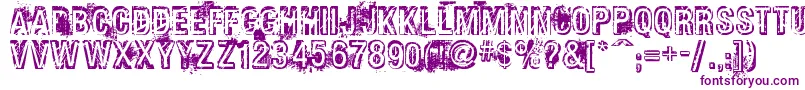 Phatgrunge Font – Purple Fonts on White Background