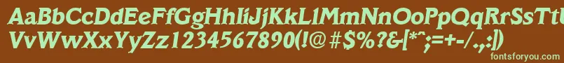 VeracruzBoldita Font – Green Fonts on Brown Background