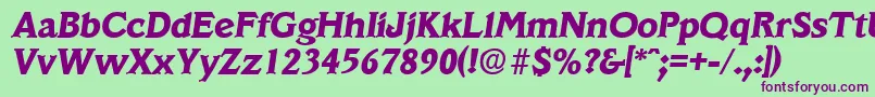 VeracruzBoldita Font – Purple Fonts on Green Background