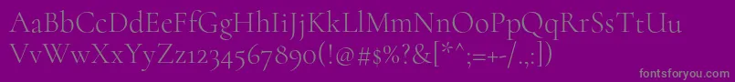 CormorantLight Font – Gray Fonts on Purple Background