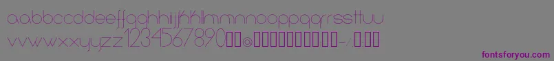フォントInfinita – 紫色のフォント、灰色の背景