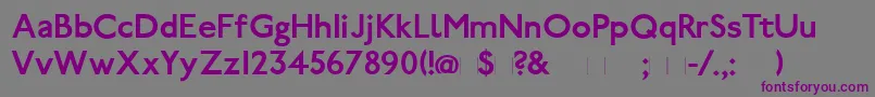 PaddingtonBold Font – Purple Fonts on Gray Background
